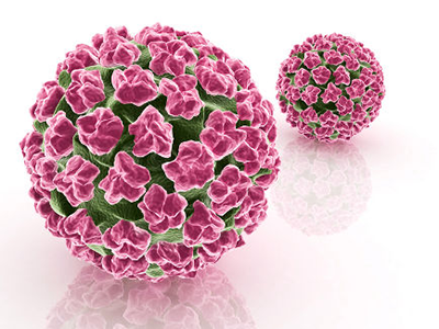 郎景和院士：HPV疫苗接种